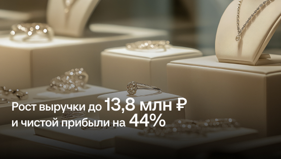 Рост выручки до 13,8 млн ₽ и чистой прибыли на 44%